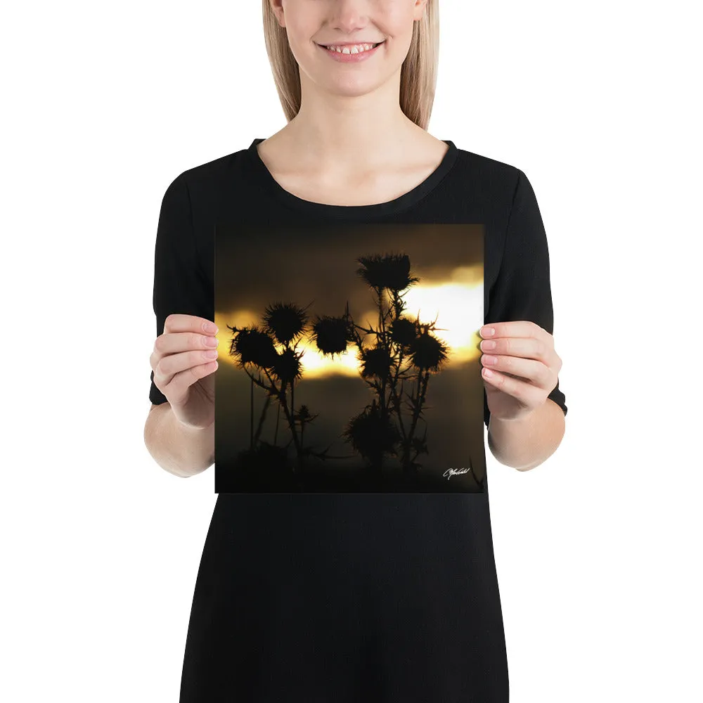 The Field of Strength Print