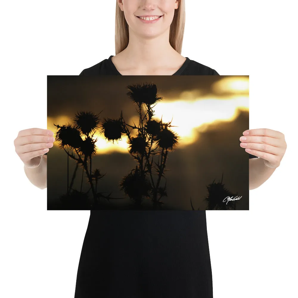The Field of Strength Print