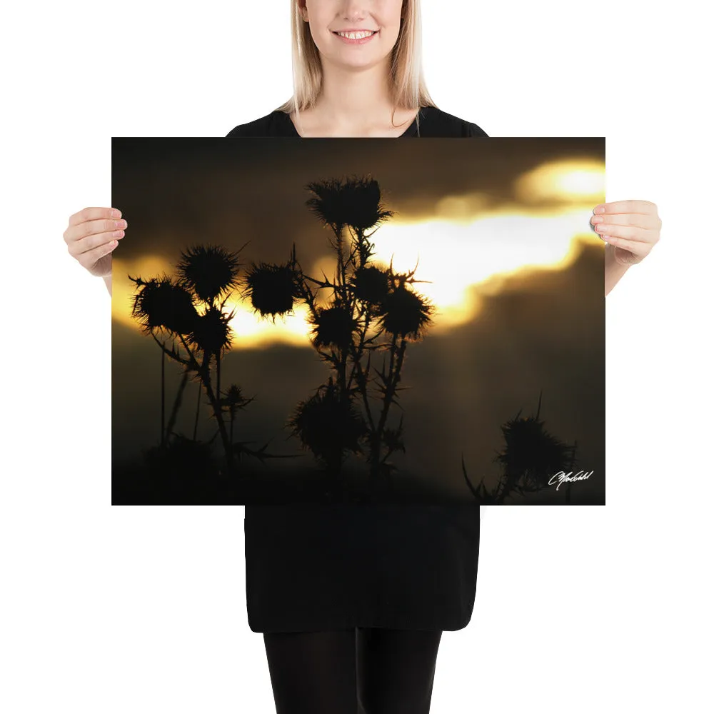The Field of Strength Print
