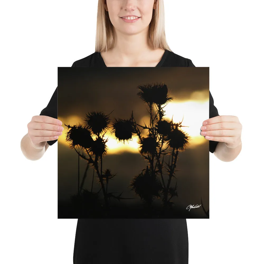 The Field of Strength Print