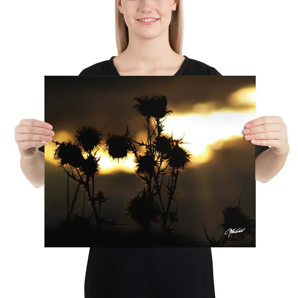 The Field of Strength Print