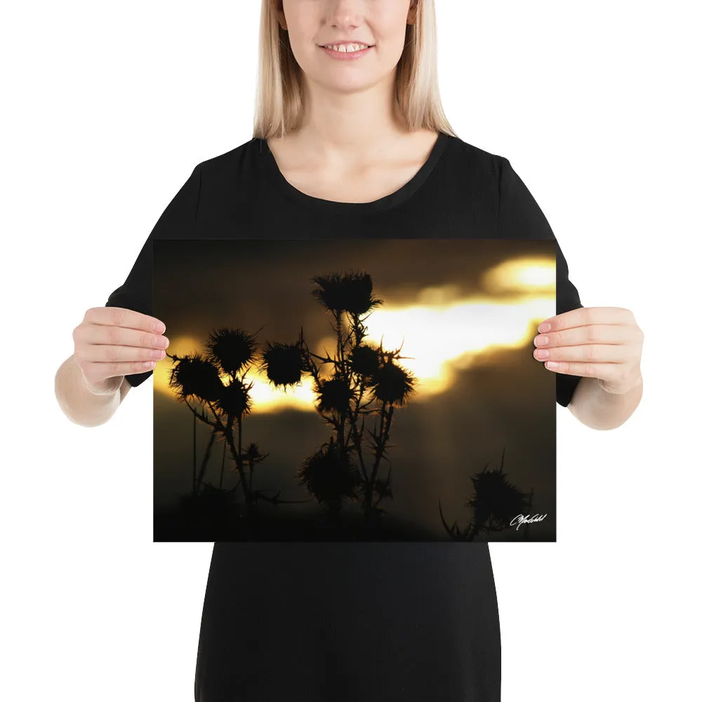 The Field of Strength Print