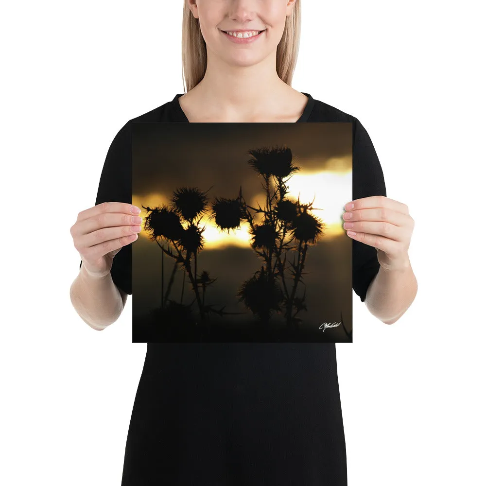 The Field of Strength Print