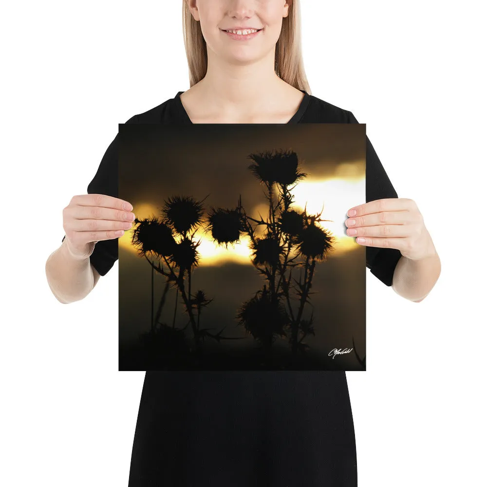The Field of Strength Print