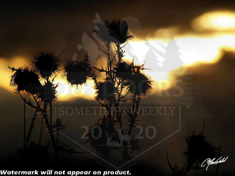 The Field of Strength Print