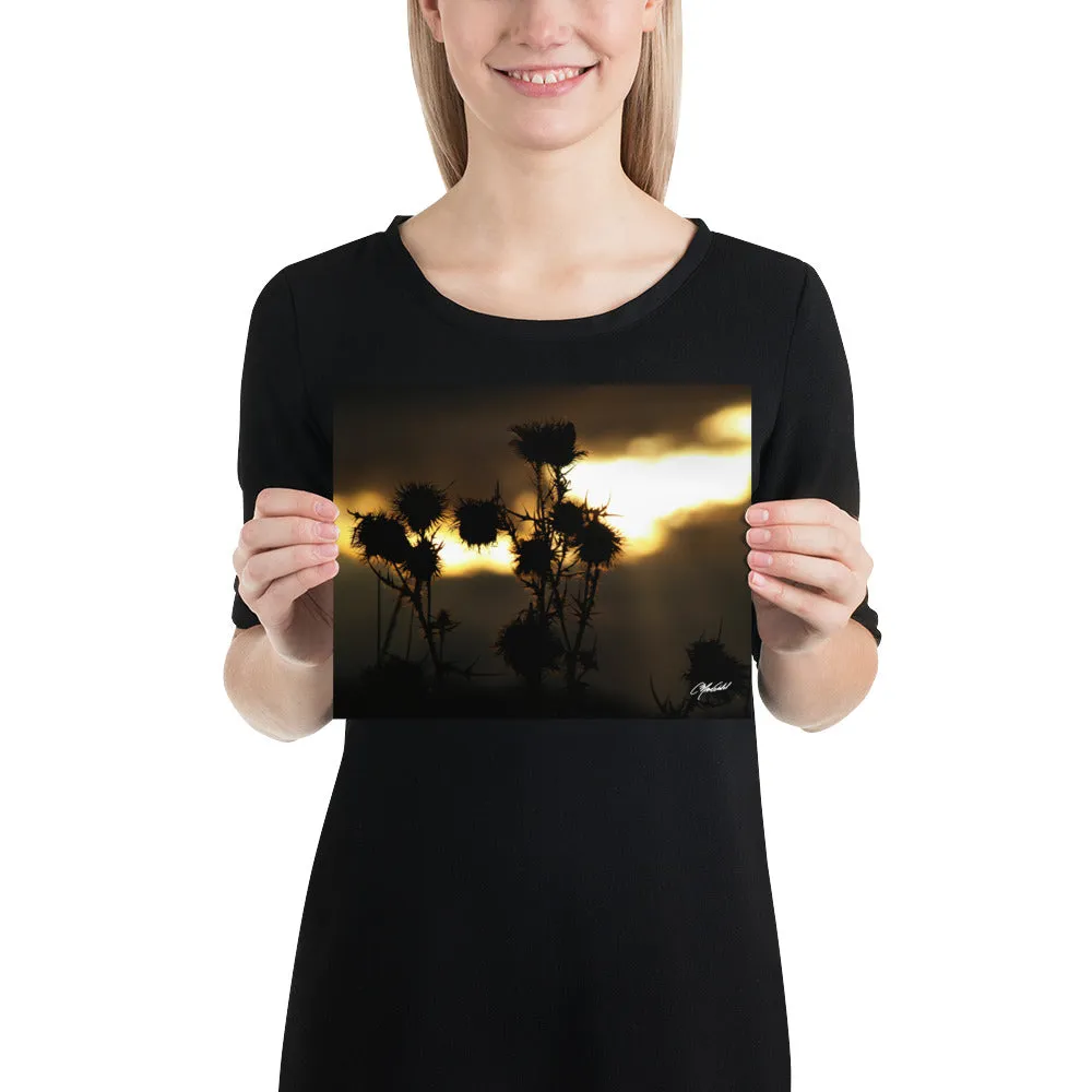 The Field of Strength Print