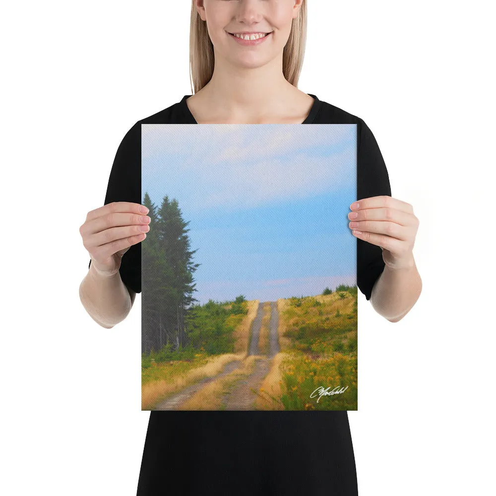 The Road to Adventure Canvas