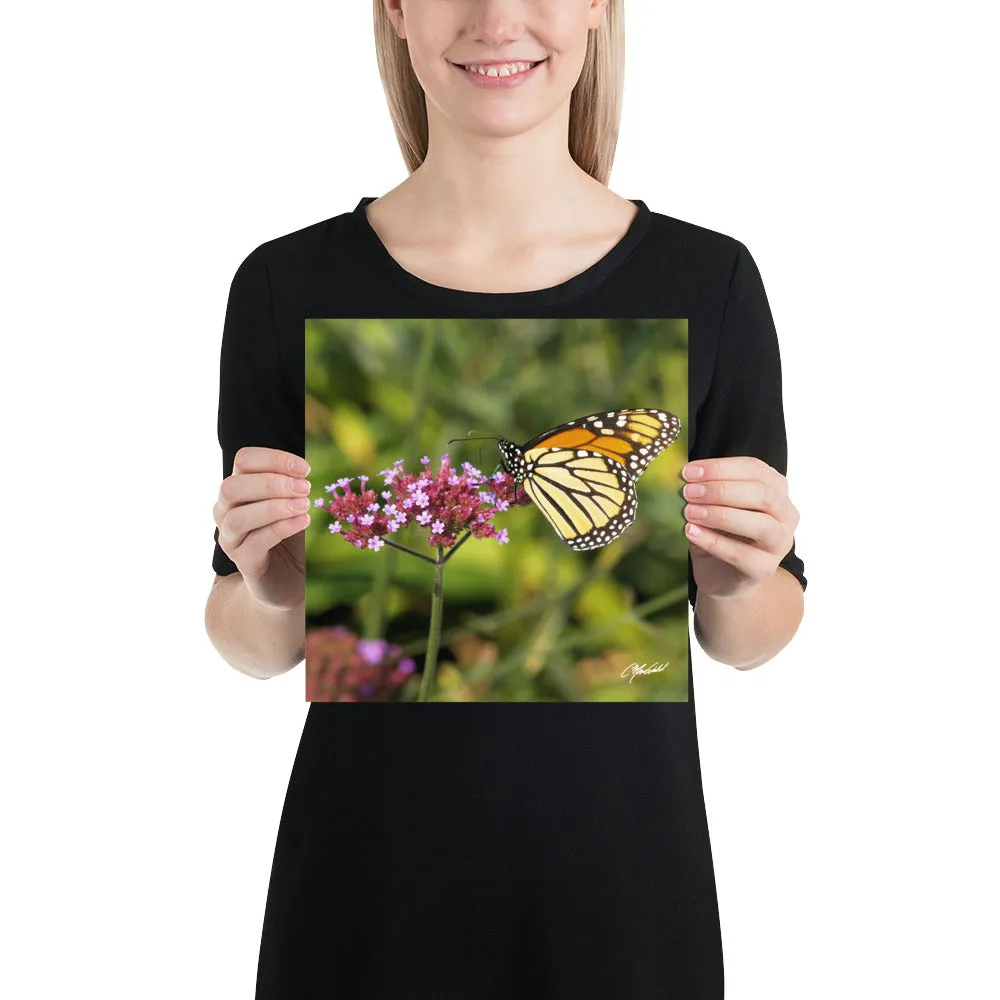 The Royal Monarchy Print