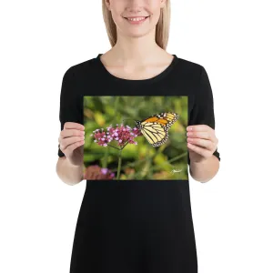 The Royal Monarchy Print