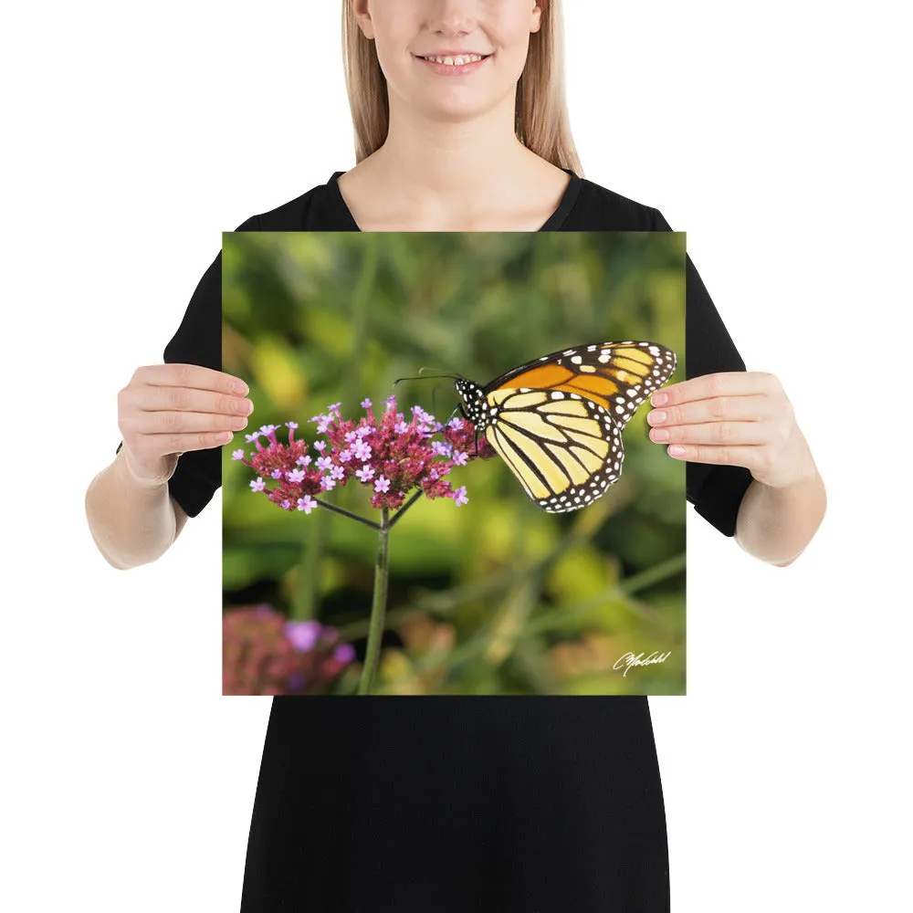 The Royal Monarchy Print