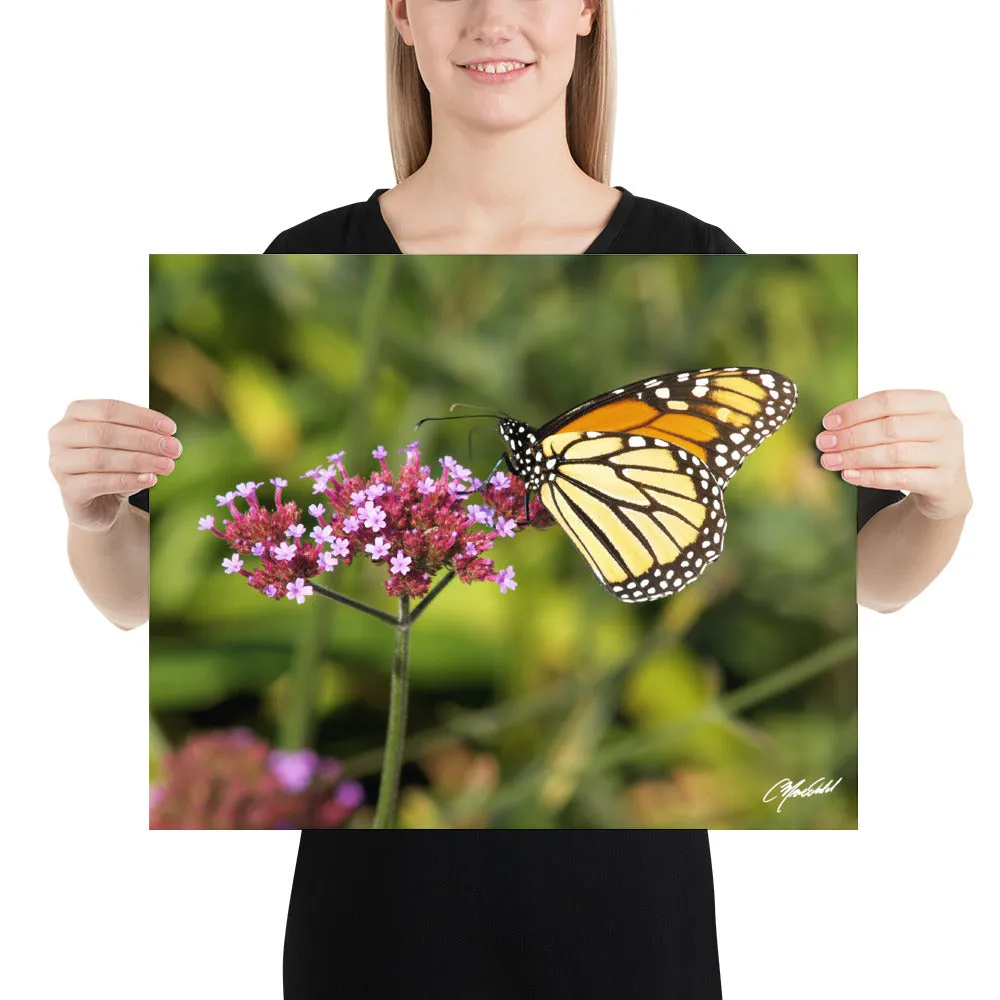 The Royal Monarchy Print