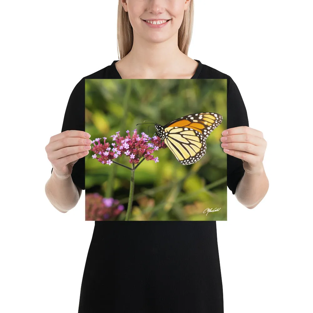 The Royal Monarchy Print
