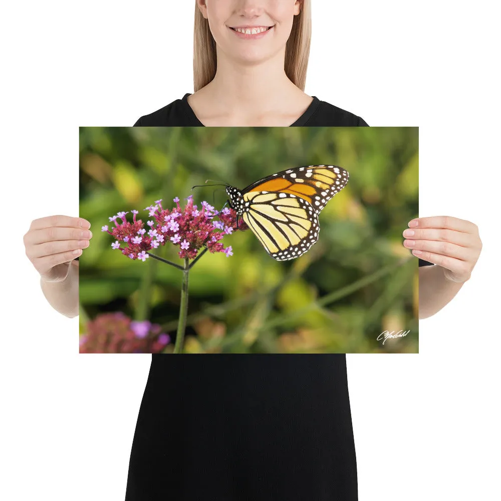 The Royal Monarchy Print