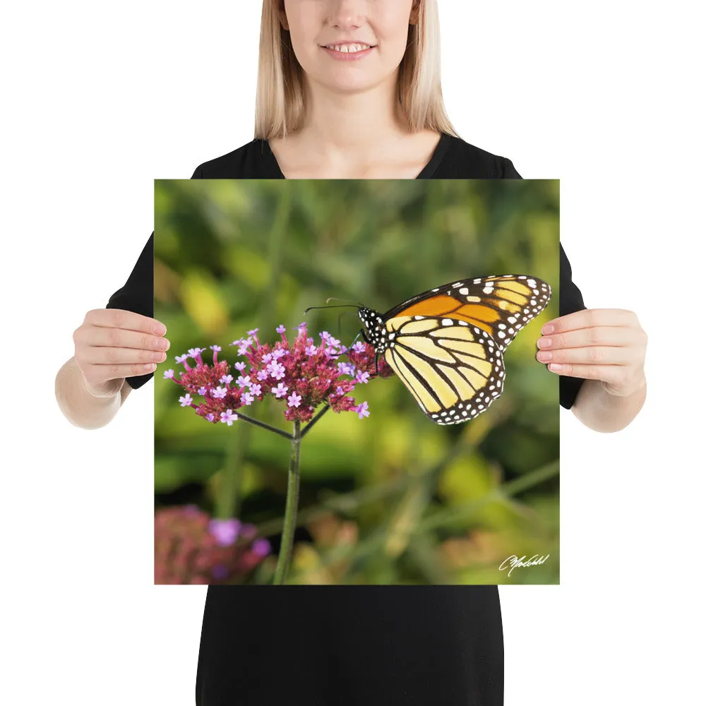 The Royal Monarchy Print