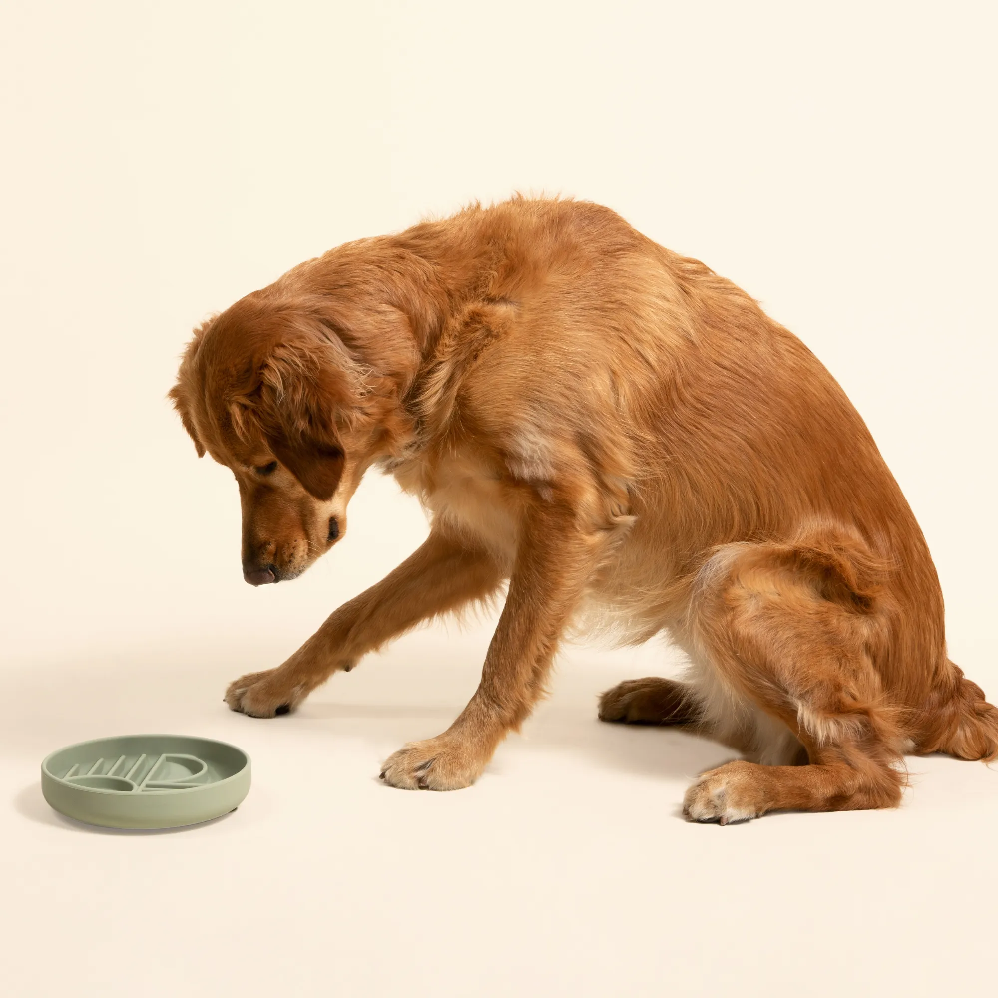 The Sunset Bowl: Slow Feeder & Lick Mat