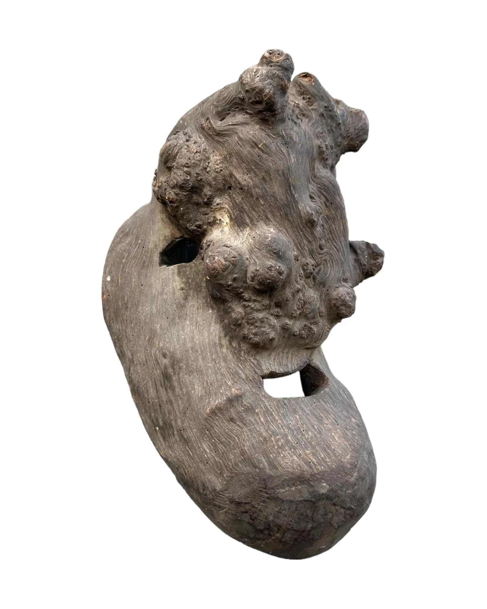 Tree Mask