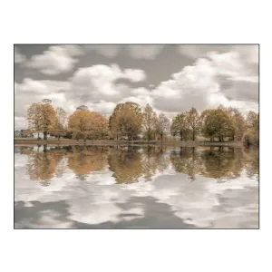 Trees Along the Lake