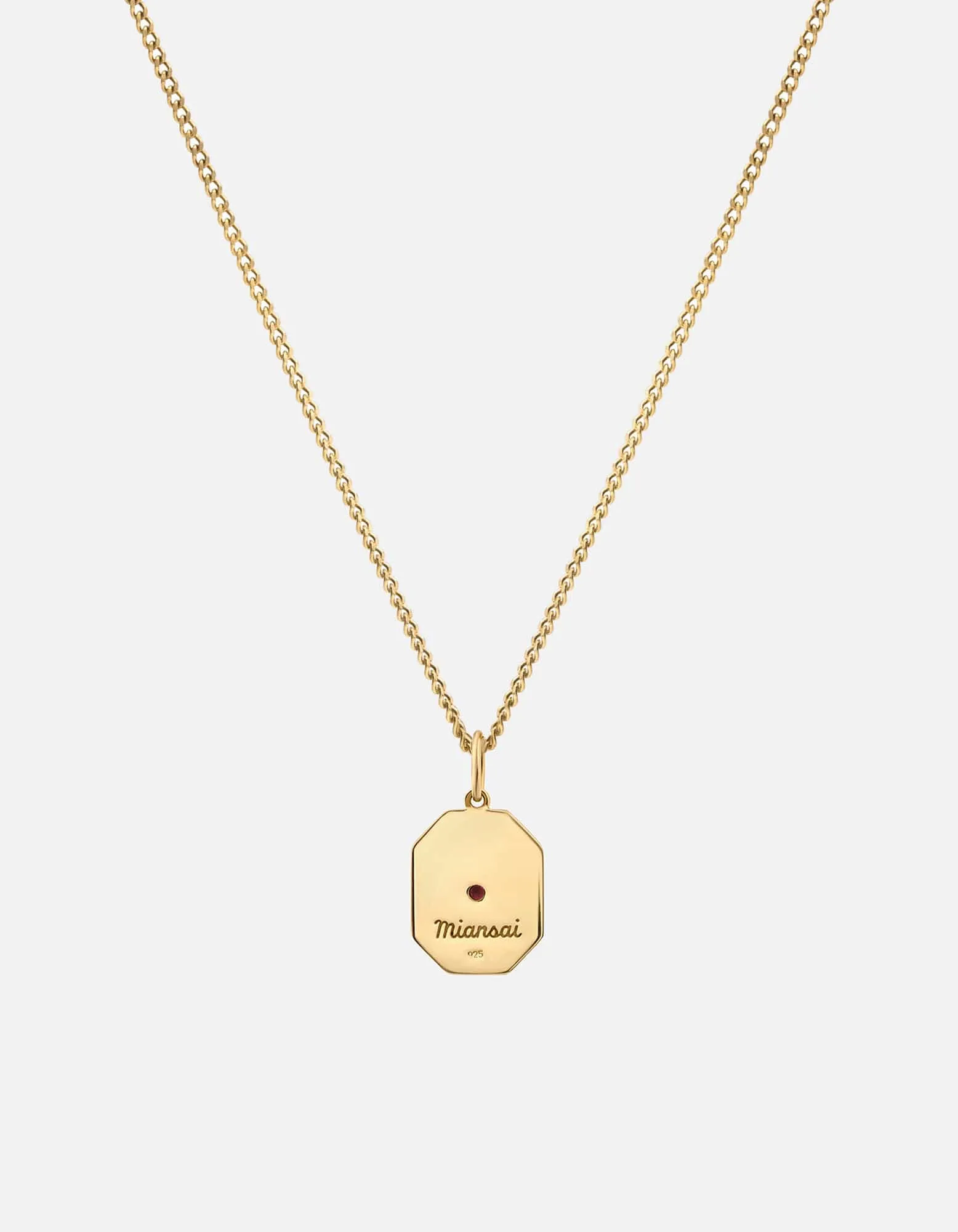 Umbra Garnet Necklace, Gold Vermeil/Red