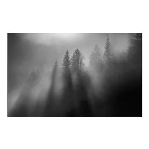 Wintersun