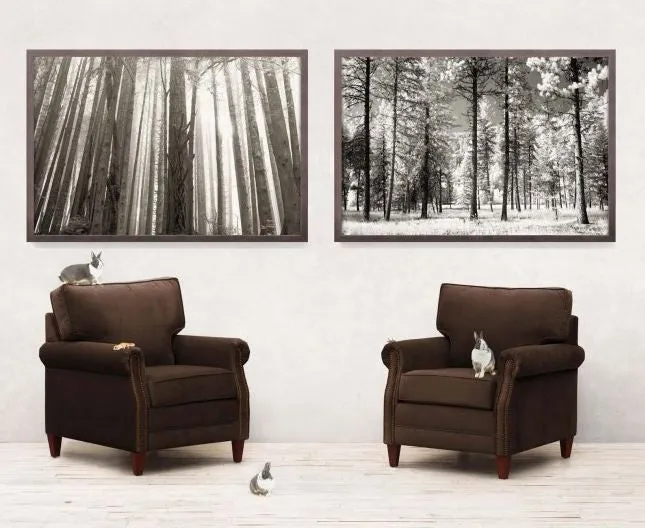Within The Forest 2 - Natural Curiosities